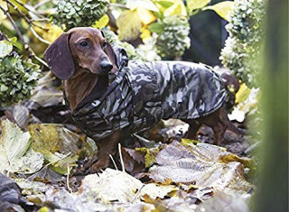 Hăinuță pentru câine Croci Dachshund Military č.2